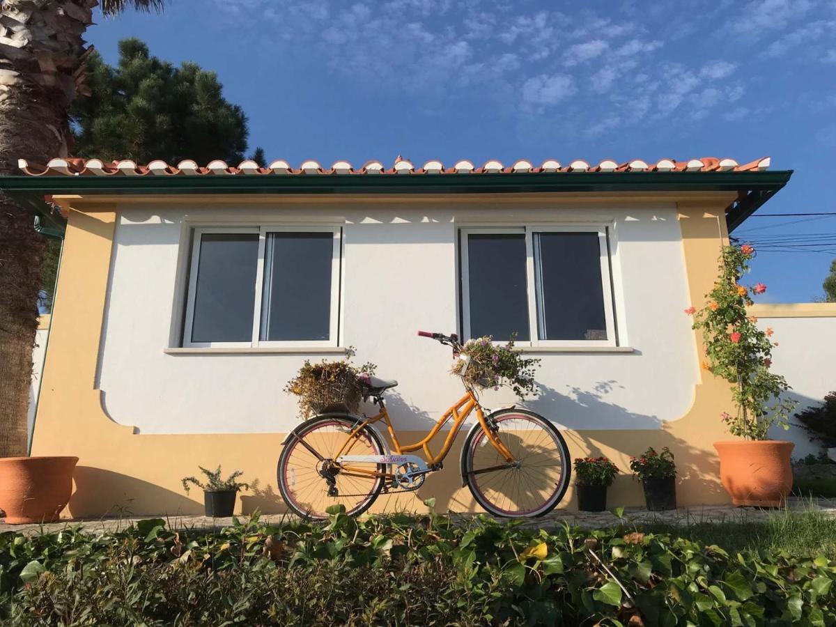 Vida-Vi, Country House And B&B Carvalhal Bemfeito Dış mekan fotoğraf