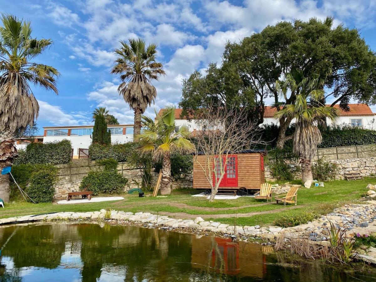 Vida-Vi, Country House And B&B Carvalhal Bemfeito Dış mekan fotoğraf