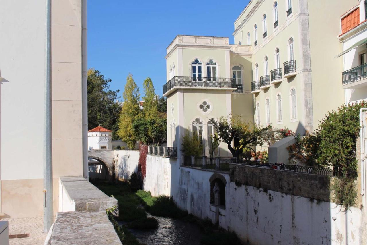 Vida-Vi, Country House And B&B Carvalhal Bemfeito Dış mekan fotoğraf