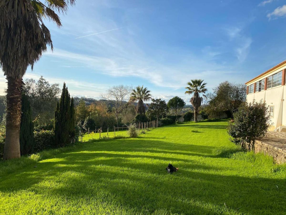 Vida-Vi, Country House And B&B Carvalhal Bemfeito Dış mekan fotoğraf