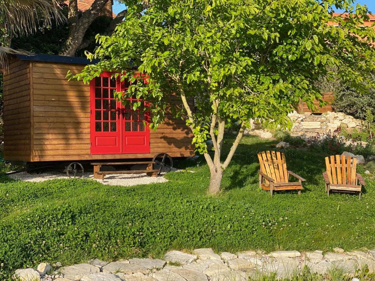 Vida-Vi, Country House And B&B Carvalhal Bemfeito Dış mekan fotoğraf