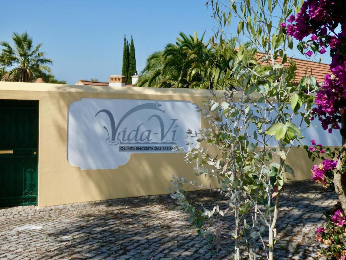 Vida-Vi, Country House And B&B Carvalhal Bemfeito Dış mekan fotoğraf