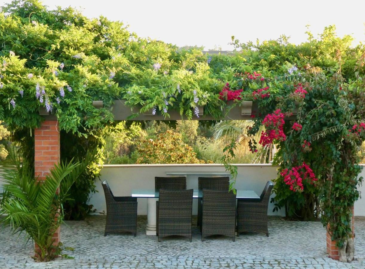 Vida-Vi, Country House And B&B Carvalhal Bemfeito Dış mekan fotoğraf